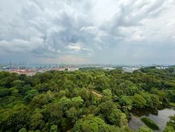 Normanton Park (D5), Apartment #566633531